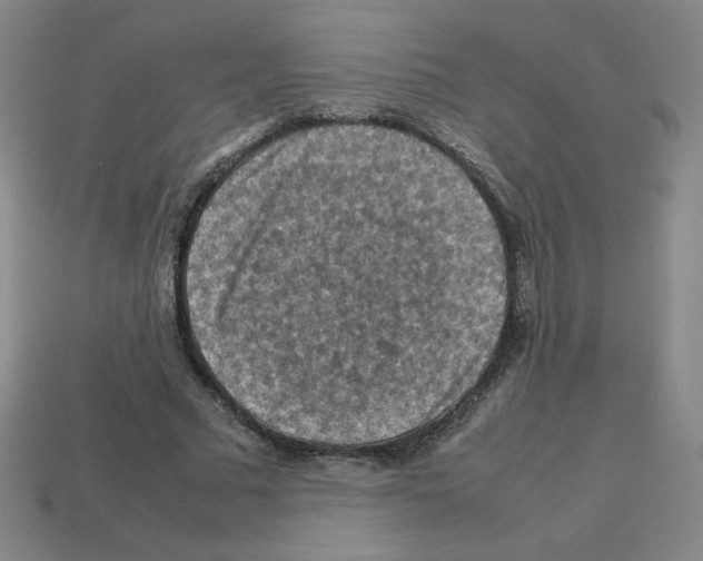 X0000112770681200910011237