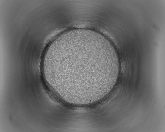 X0000112770682200910011237