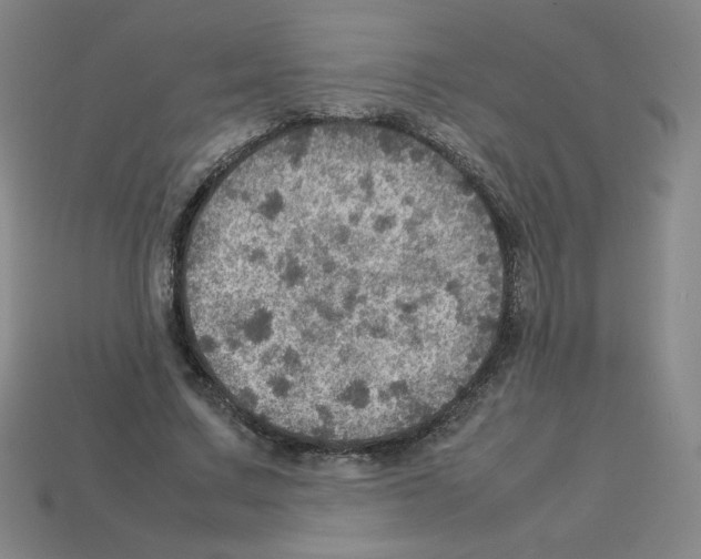 X0000112770683200910011237