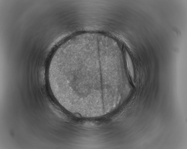 X0000112770684200910011237