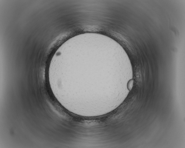 X0000112770686200910011237