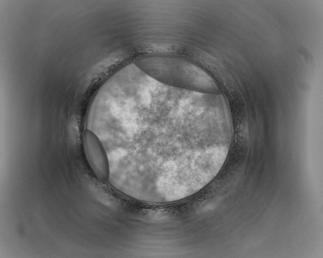 X0000112770688200910011237