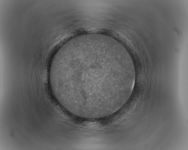 X0000112770689200910011237