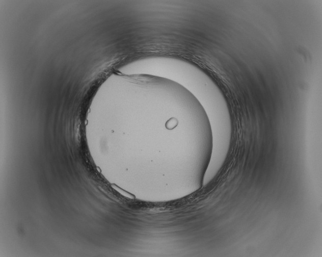 X0000112770692200910011237