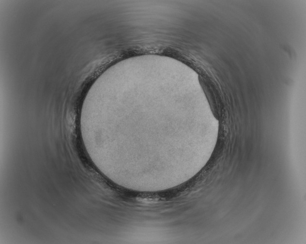 X0000112770693200910011237