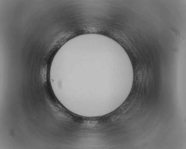 X0000112770694200910011237