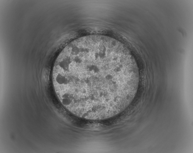 X0000112770695200910011237