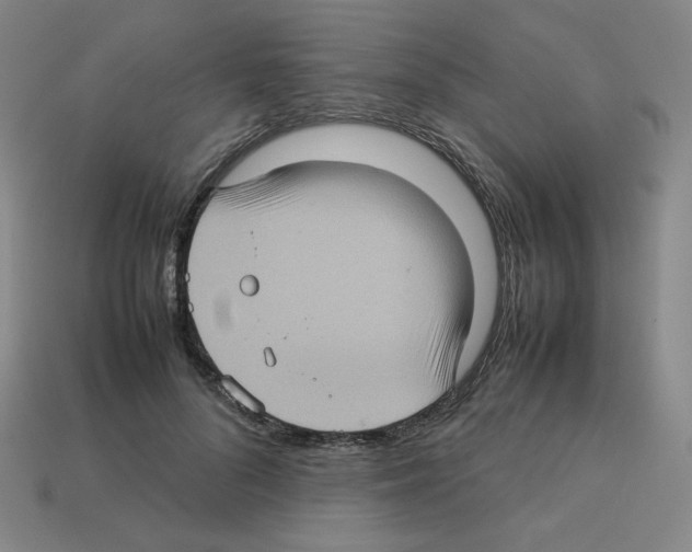 X0000112770696200910011237