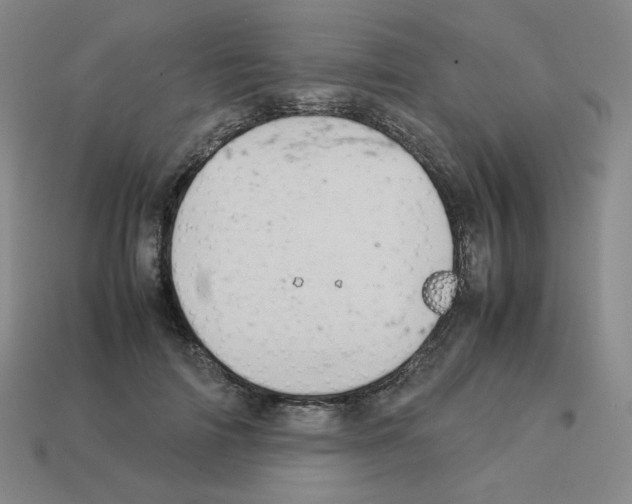 X0000112770698200910011237