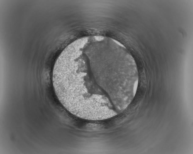 X0000112770699200910011237