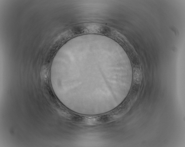 X0000112770701200910011237