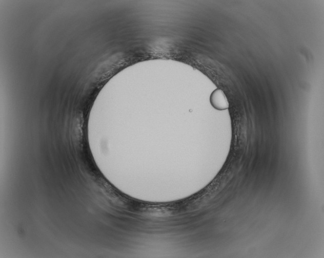 X0000112770702200910011237