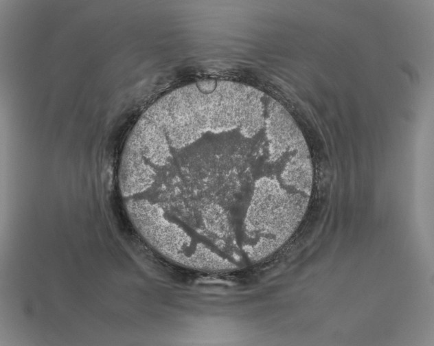 X0000112770703200910011237