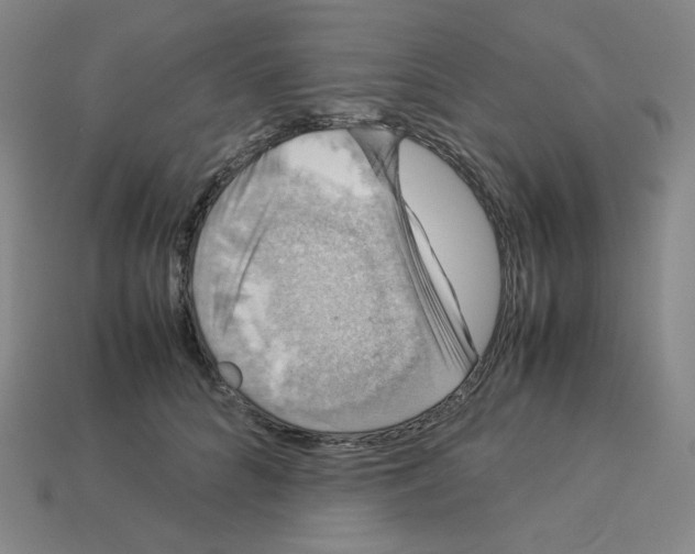 X0000112770704200910011237