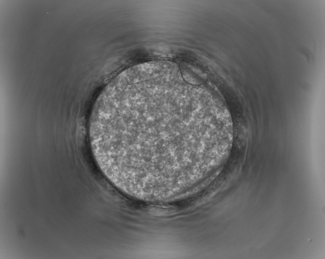 X0000112770707200910011237