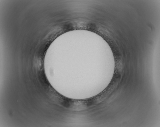 X0000112770709200910011237