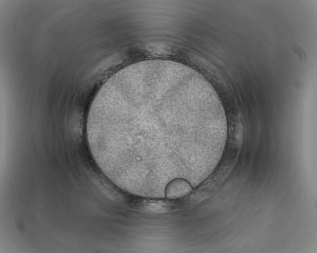 X0000112770710200910011237