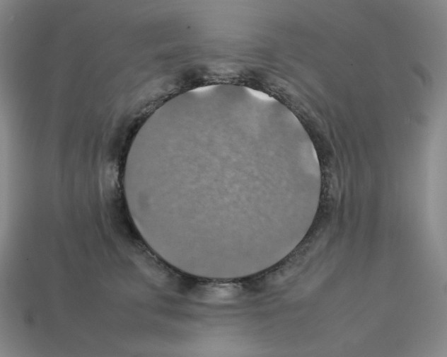 X0000112770711200910011237