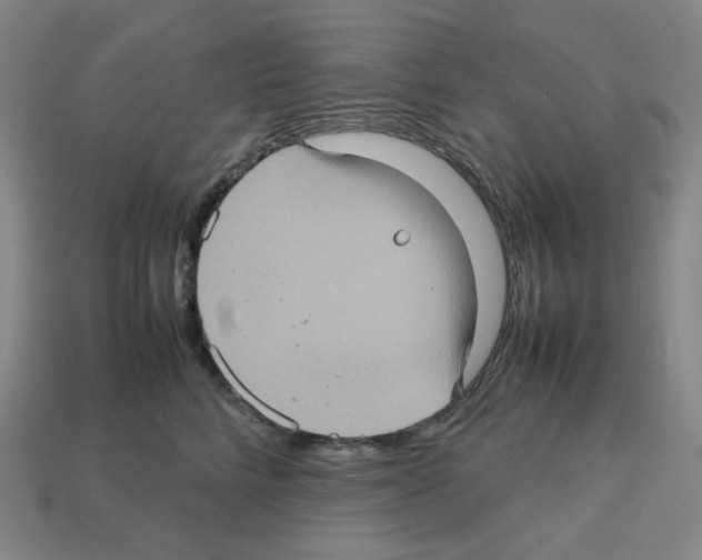 X0000112770712200910011237