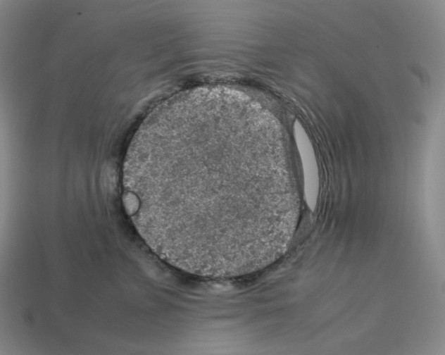 X0000112770715200910011237