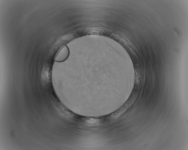 X0000112770718200910011237