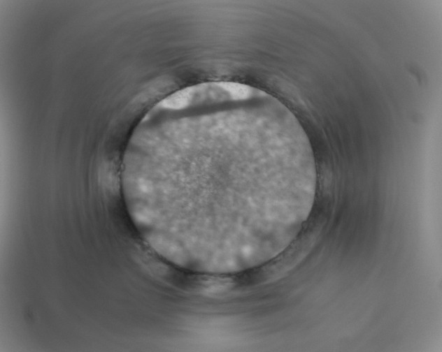 X0000112770719200910011237