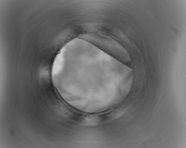 X0000112770720200910011237