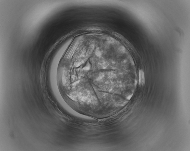 X0000112770723200910011236