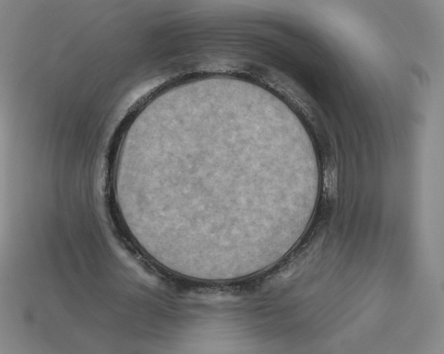 X0000112770724200910011236