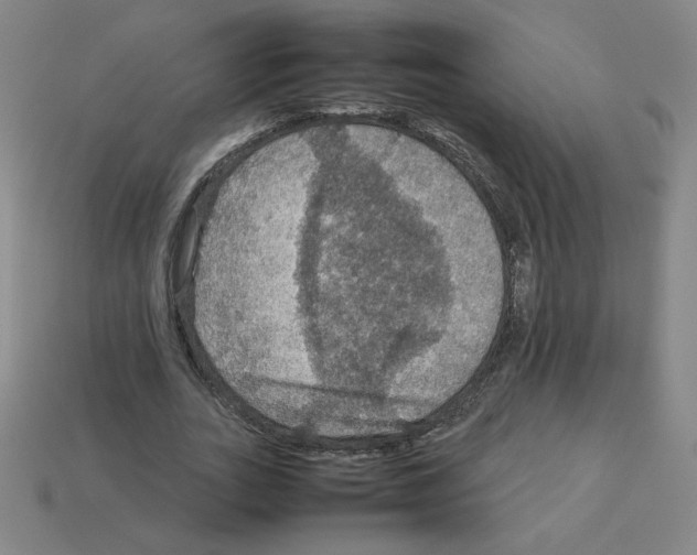 X0000112770727200910011236