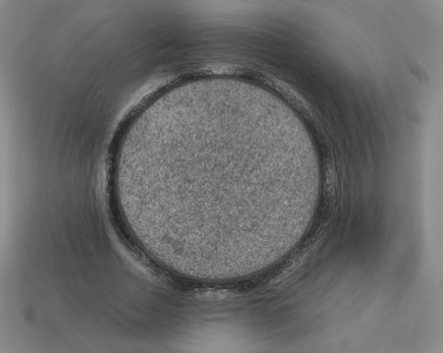 X0000112770730200910011236