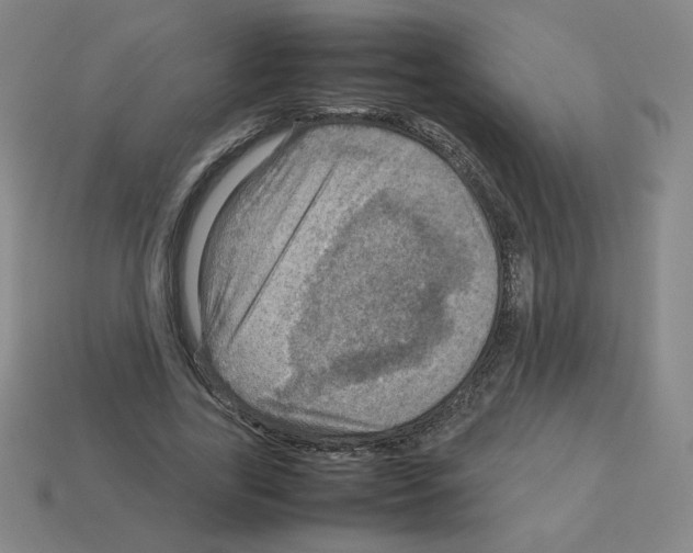 X0000112770731200910011236