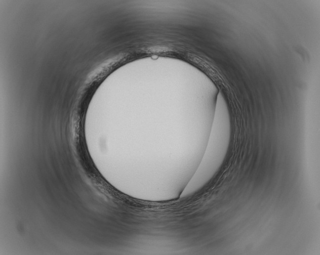 X0000112770732200910011236