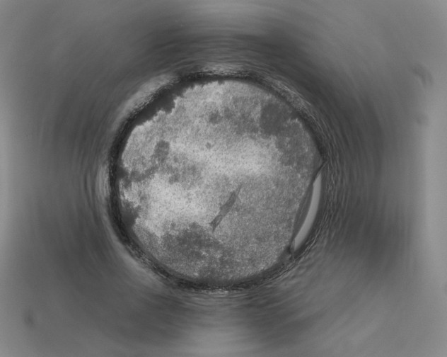 X0000112770734200910011236