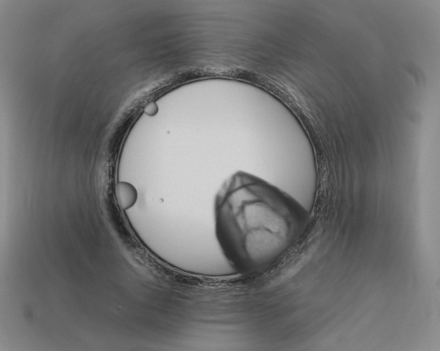 X0000112770736200910011236