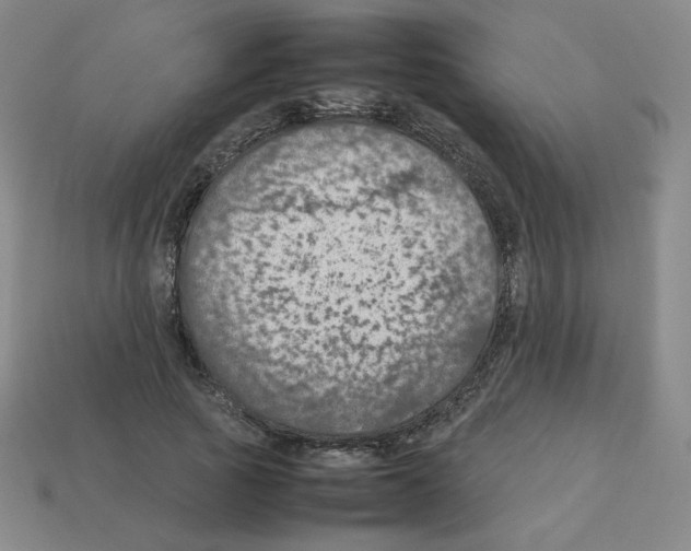 X0000112770737200910011236