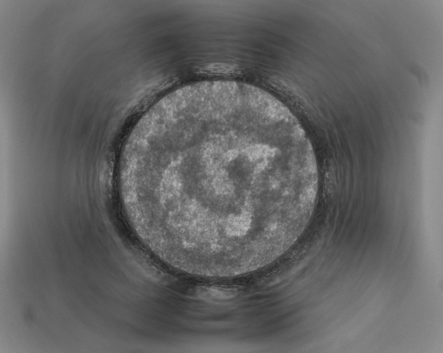 X0000112770739200910011236