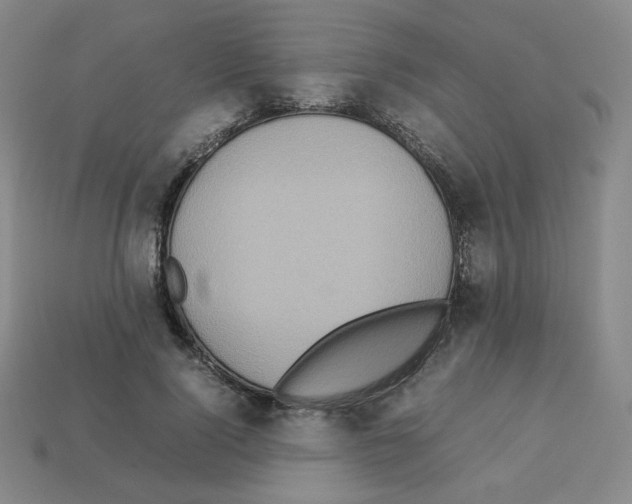 X0000112770740200910011236