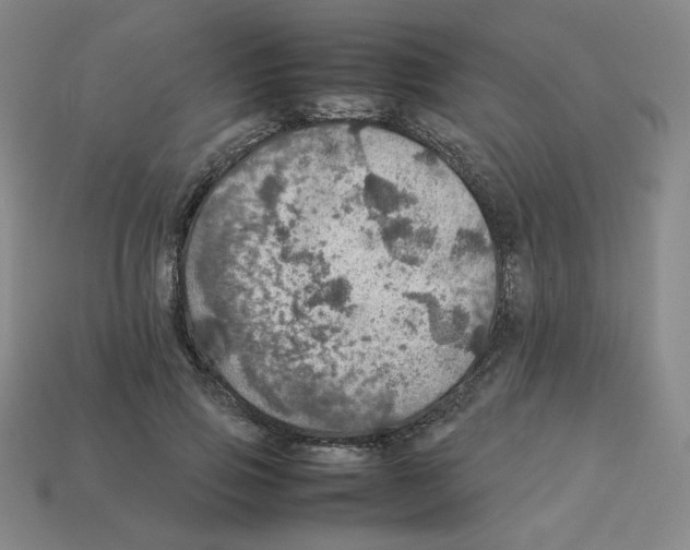 X0000112770741200910011236