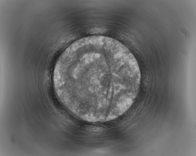 X0000112770743200910011236