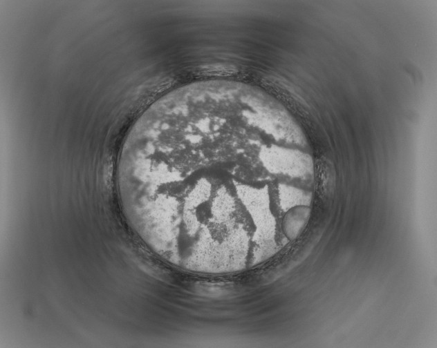 X0000112770745200910011236