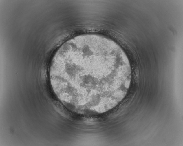 X0000112770746200910011236