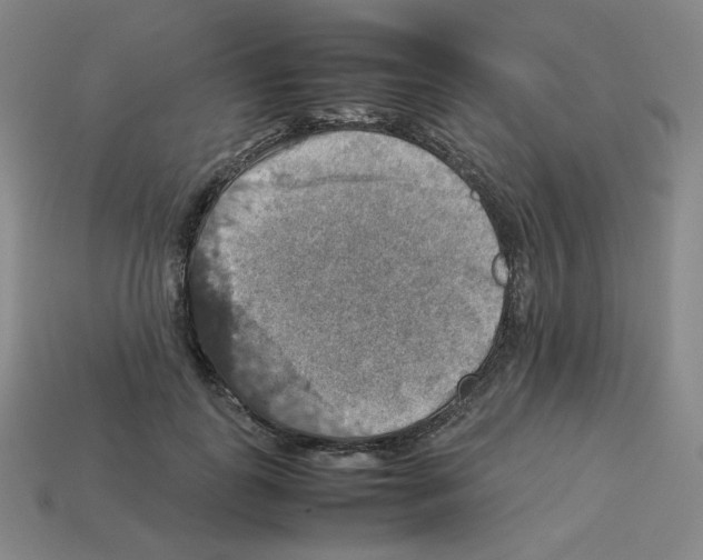 X0000112770747200910011236