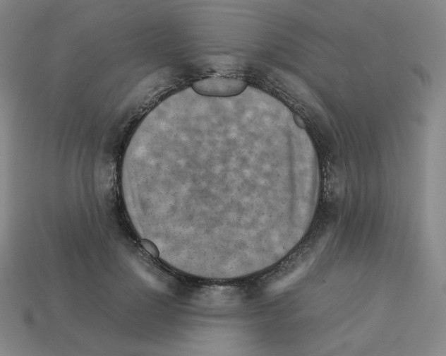 X0000112770748200910011236