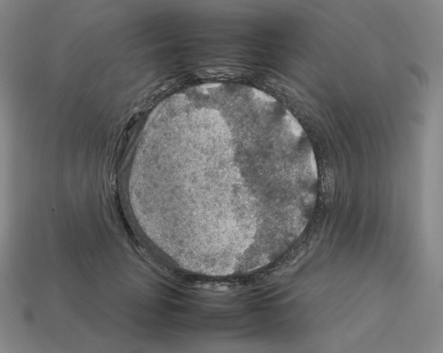 X0000112770751200910011236