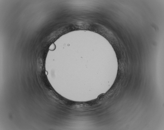 X0000112770752200910011236