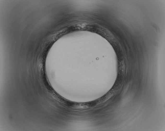 X0000112770754200910011236