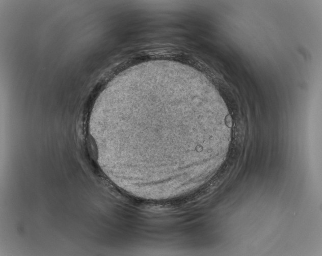 X0000112770755200910011236