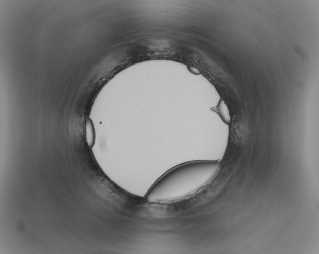 X0000112770756200910011236