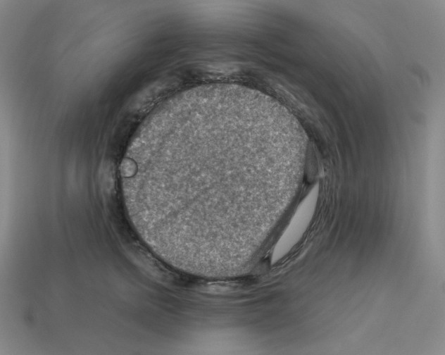 X0000112770758200910011236